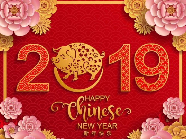 金豬送喜辭舊歲，雙志陪您慶新春！